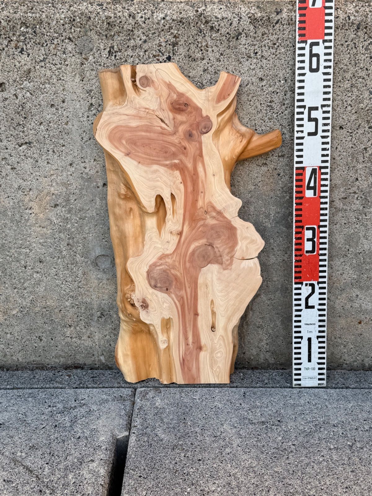 新品⭐︎NINA RICCI （ニナリッチ） マーガレット刺繍晴雨兼用パラソル