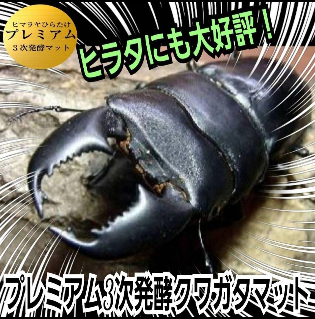 40リットル 4袋セット