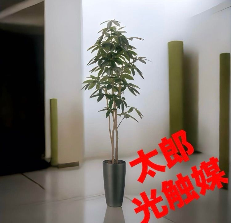 光の楽園 光触媒 人工観葉植物 ウォールグリーン フェイク 光の楽園 光触媒 人工観葉植物 ウォールグリーン フェイク