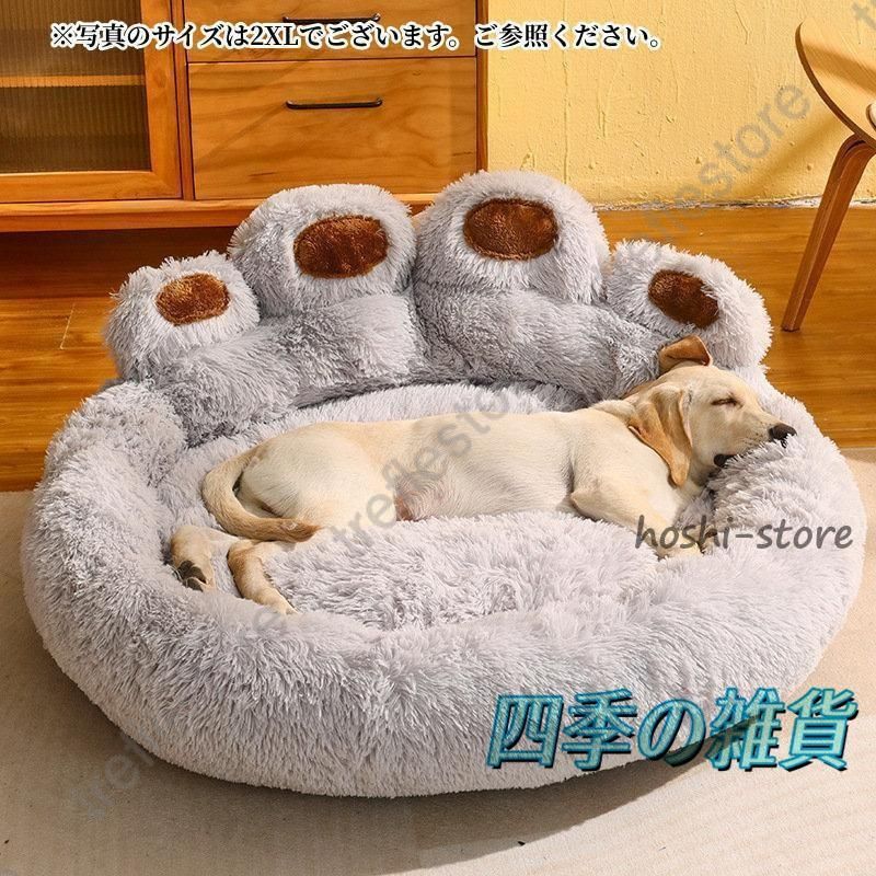 中型犬