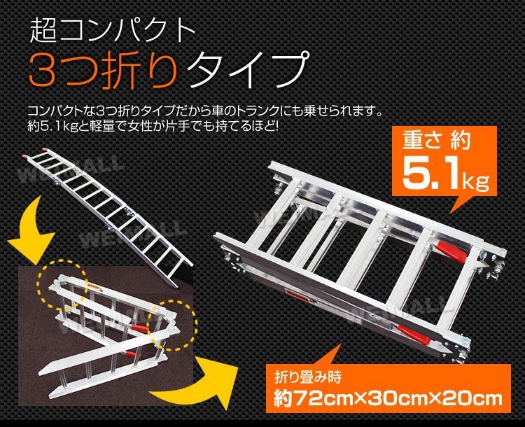 Eタイプ|2本セット アルミラダー