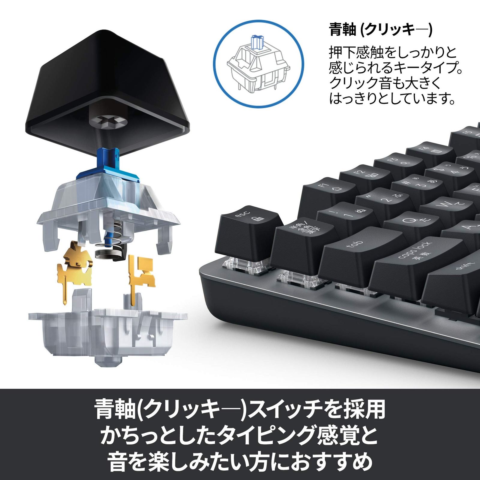 クリッキー テンキーレス