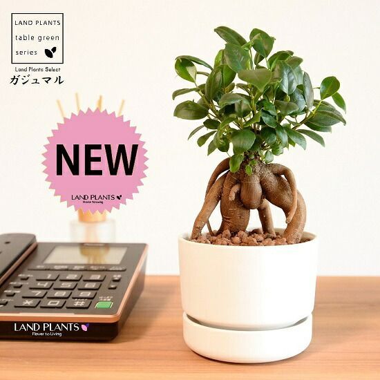 雪*子様 【未使用に近し】45R ロングワンピース サイズフリー