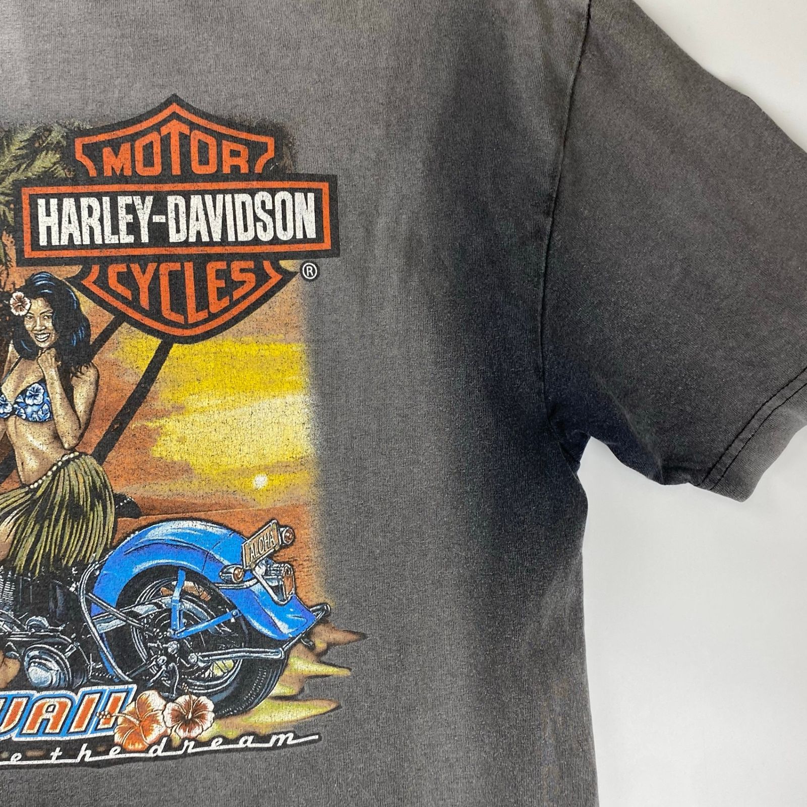 8-90s OLD HARLEY DAVIDSON ハーレーダビッドソン / フェード
