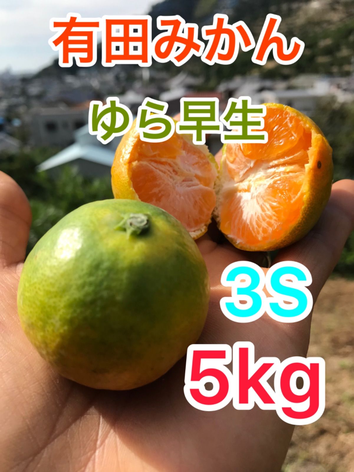 有田みかん ゆら早生 5キロ - 果物