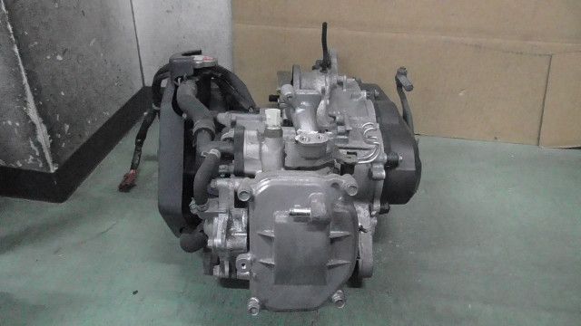 ダンク AF74-1005xxx