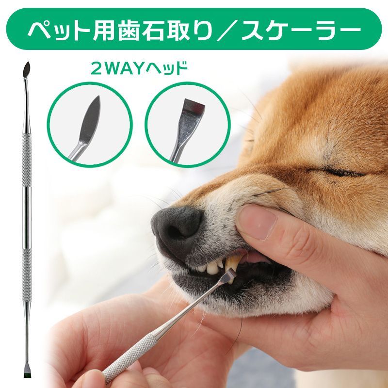 犬 歯石取り 器具 ペット用 スケーラー ハンドスケーラー