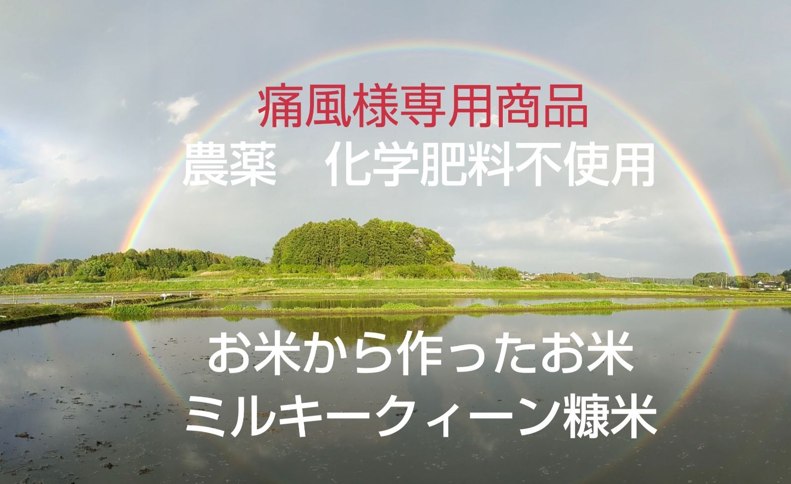 痛風様専用商品　ミルキークイーン糠作米20キロ　精米白米