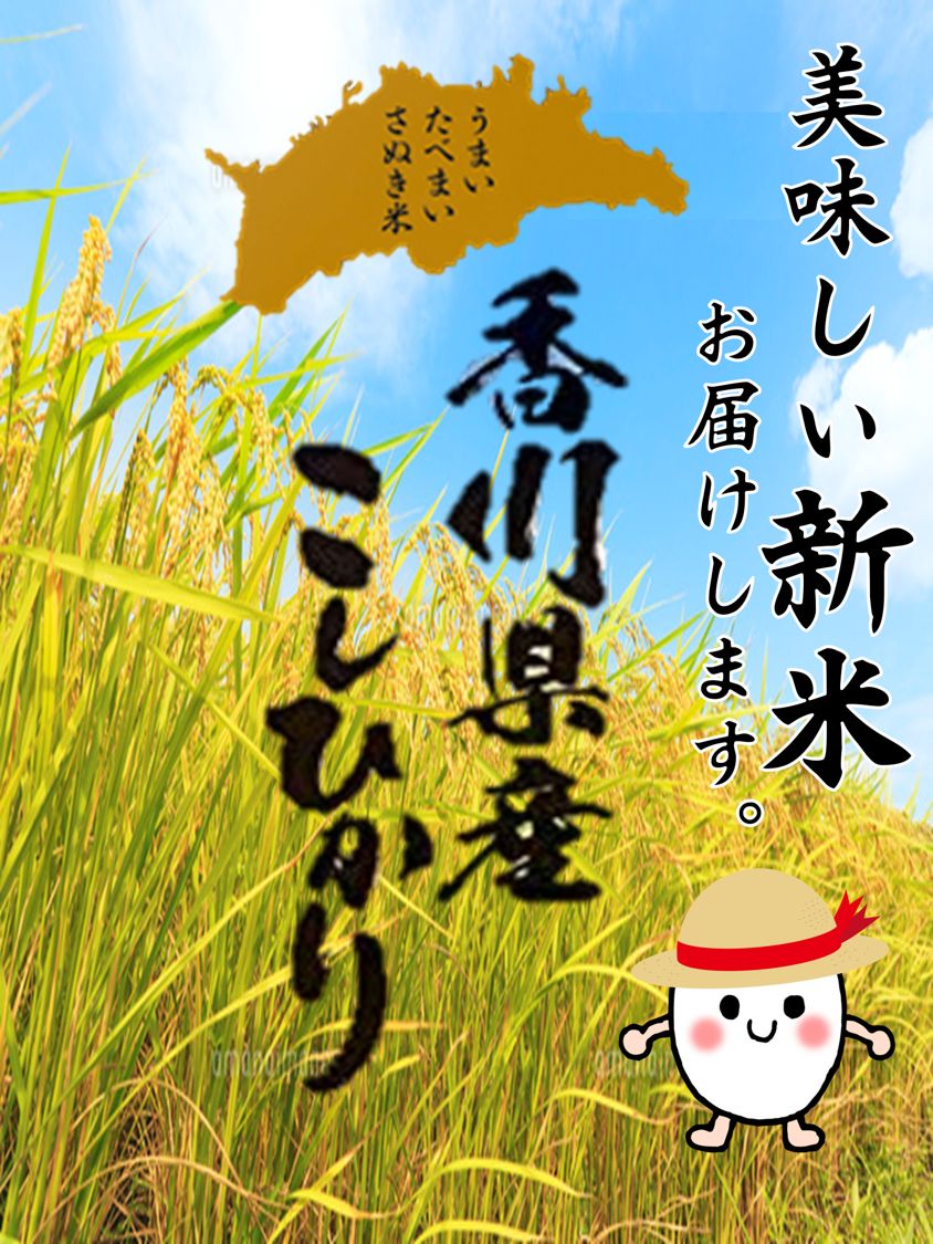 新米コシヒカリ 10kg 5kg×2袋