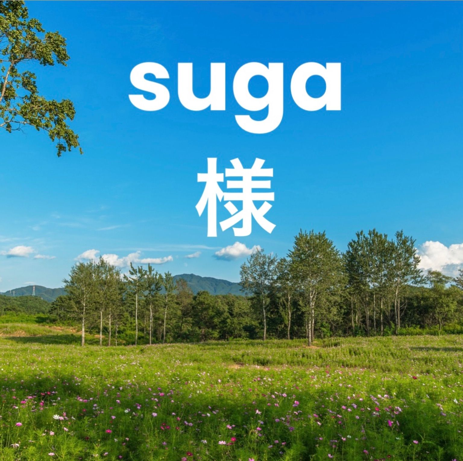 suga様ご専用 - メルカリ