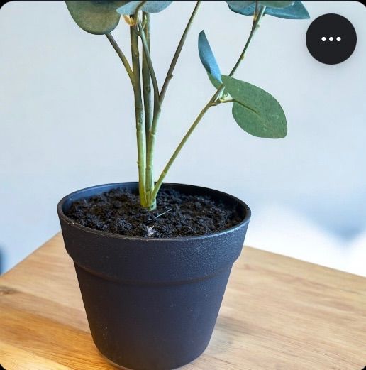 光触媒 人工観葉植物 ウォールグリーン フェイクグリーン ユーカリ