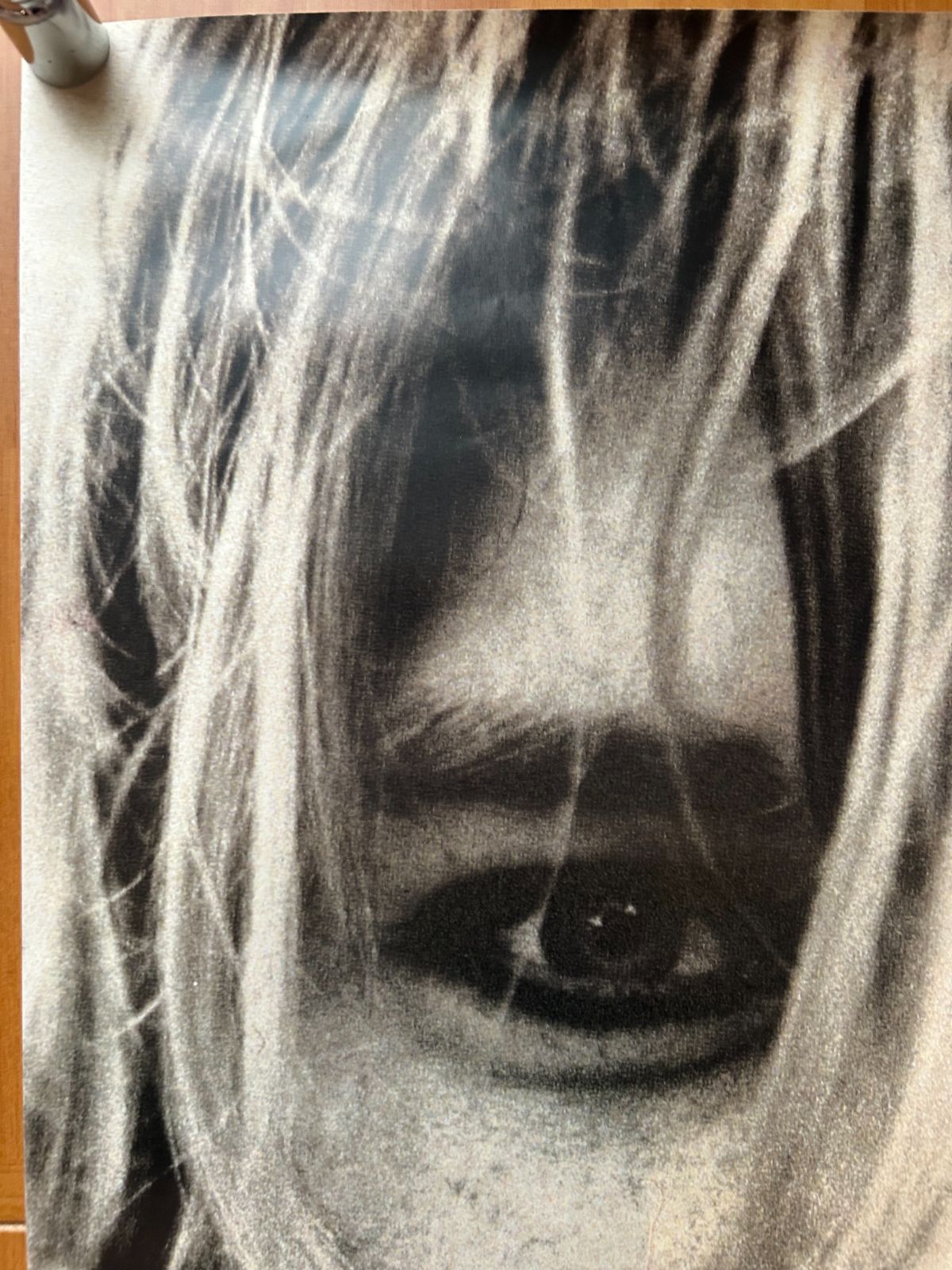 NIRVANA KURT COBAIN / 1990年代 デッドストック オフィシャルポスター