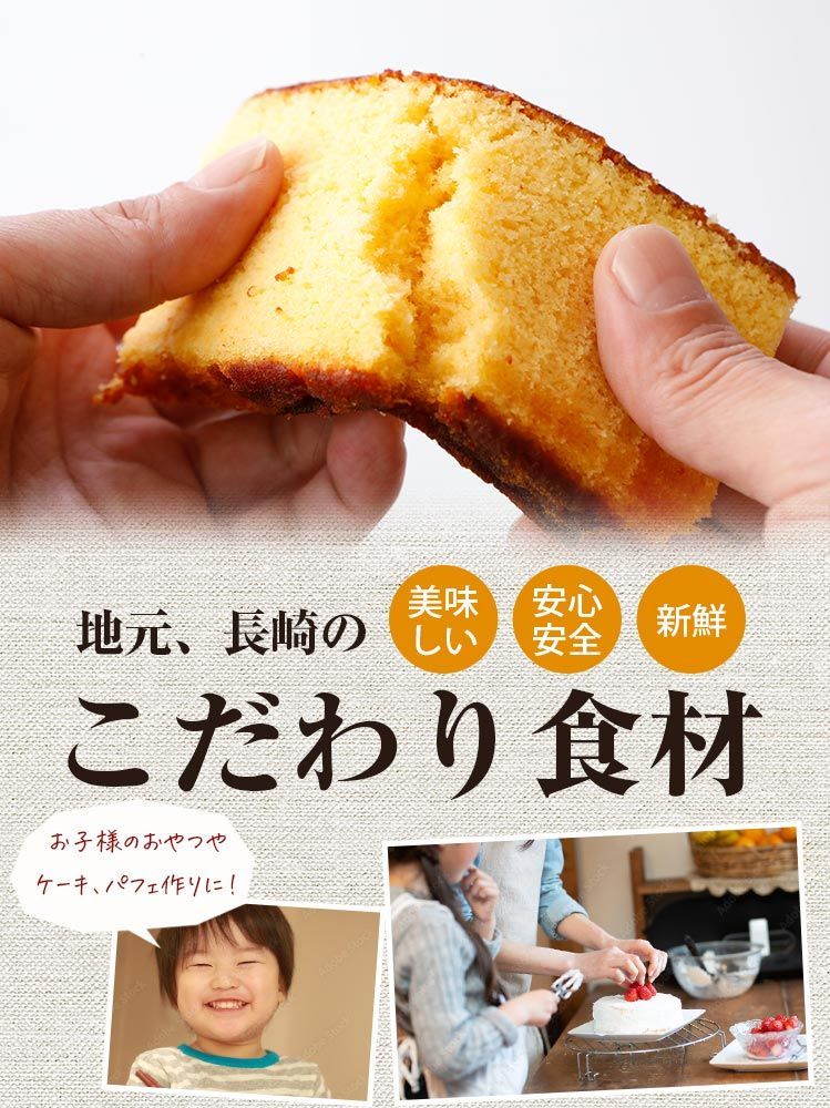 長崎カステラ 切り落とし 選べる 3パック 訳あり 690g プレーン 徳用 送料無料 お試し ワケあり 大容量 業務用 かすてら スイーツ [宅配]
