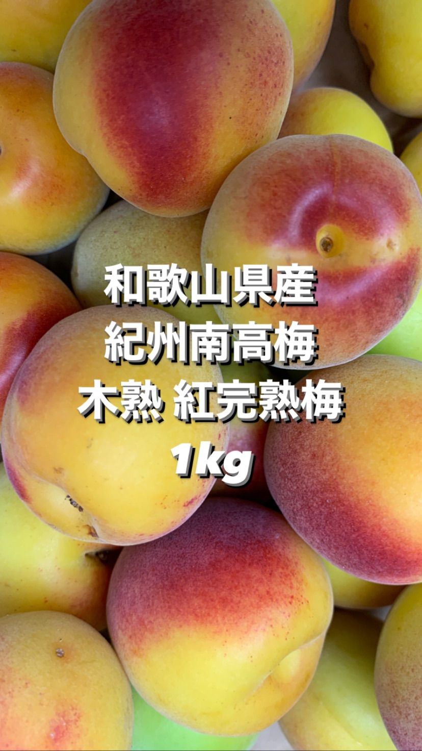 【riko】和歌山県産　南高梅　（6月7月発送予定）約10㎏ 先行予約】 南高梅 （木成り完熟梅）約5kg 2025年6月下旬～7月上旬頃