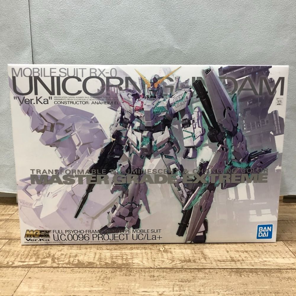 ユーフォルビア ホリダ×バリダ ユーフォルビア ホリダ 錦 Euphorbia