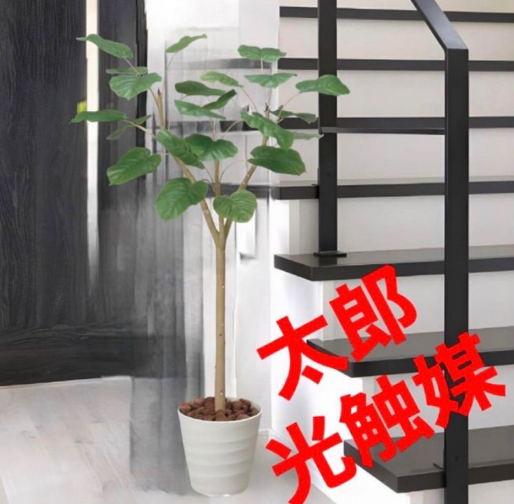 光触媒人工観葉植物フェイクグリーン特大ローズブラックand
