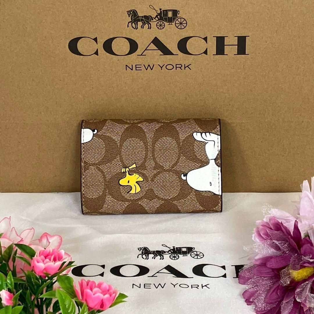 新品 未使用 coach コーチ キーケース スヌーピー ピーナッツ