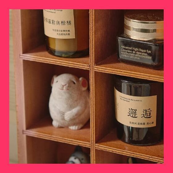 スタッフおすすめ！】koundeneko コレクションボックス 木製 9仕切り