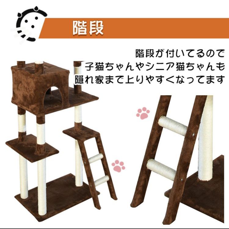 ねこ