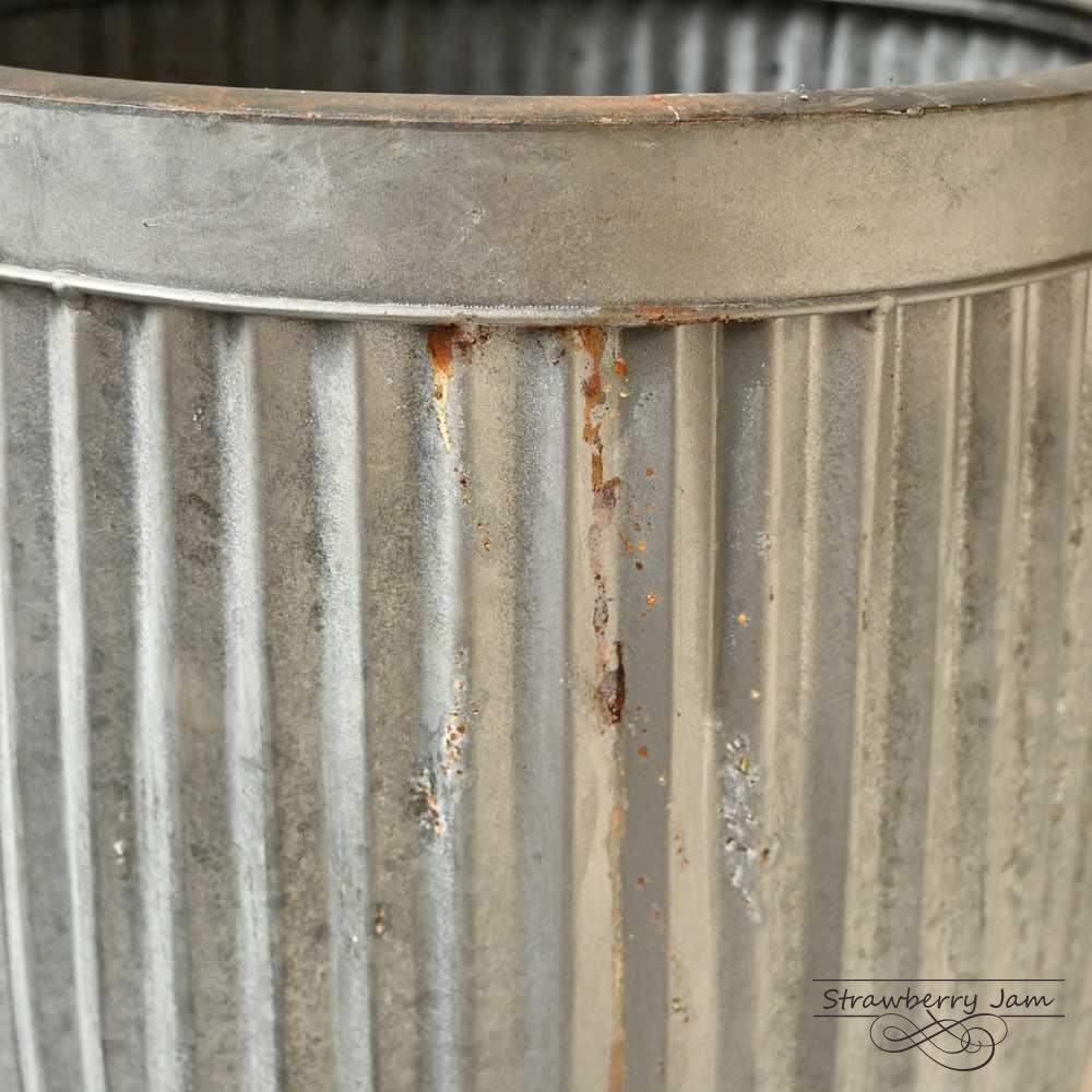 鉢 ガーデニング