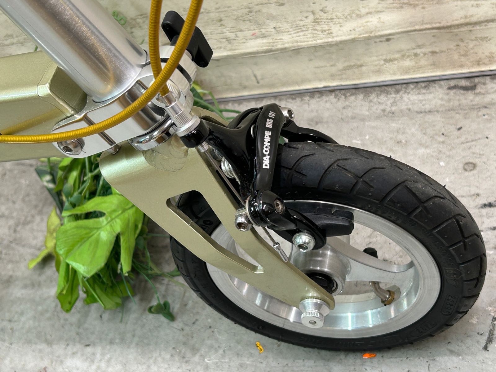 ミー シャンパンゴールド