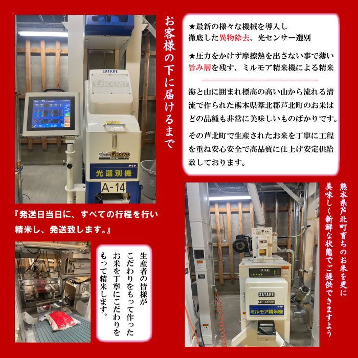 令和6年度熊本県芦北産 白米 新米 くまさんの輝き 【20kg】 最高級米 