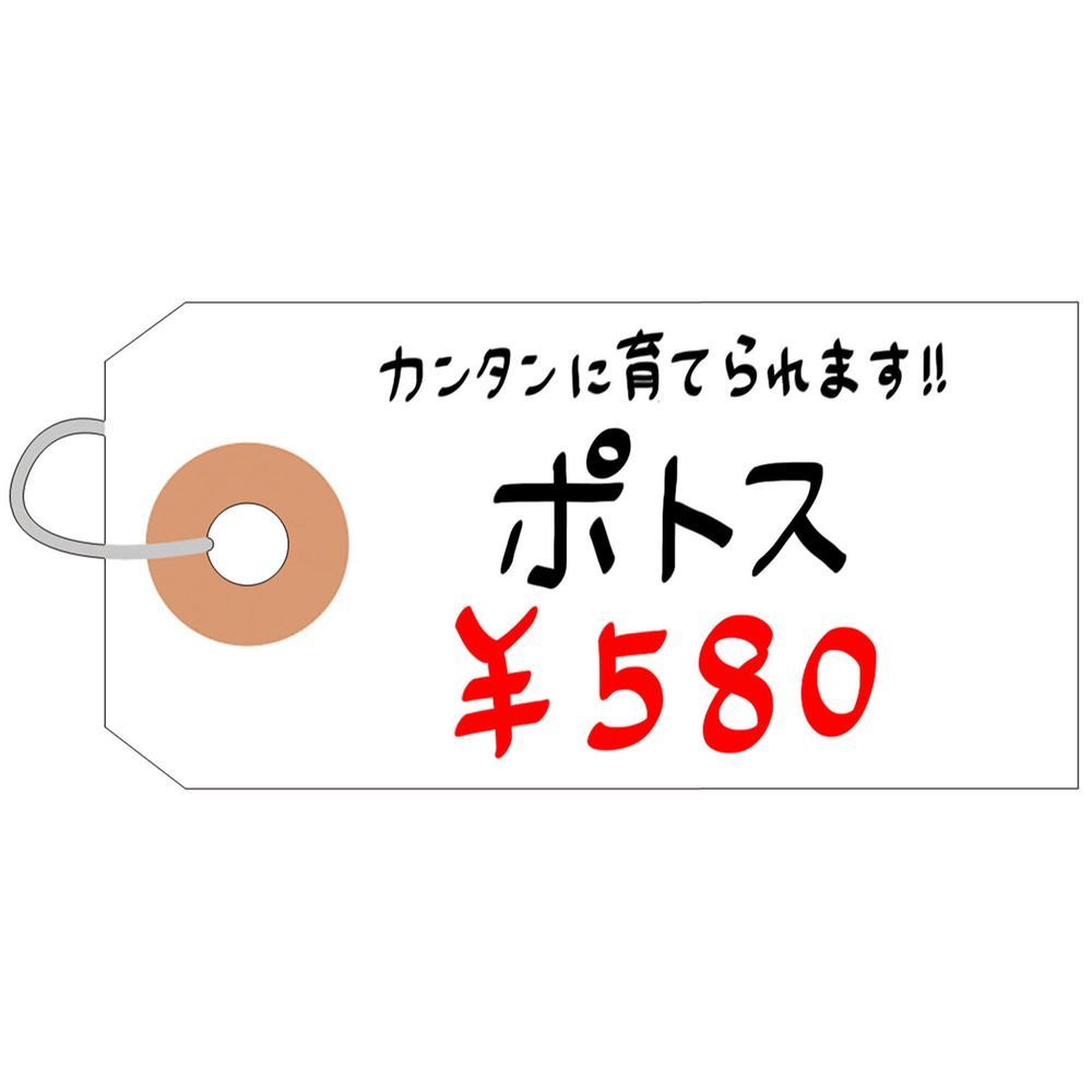 針金付き耐水紙荷札 豆