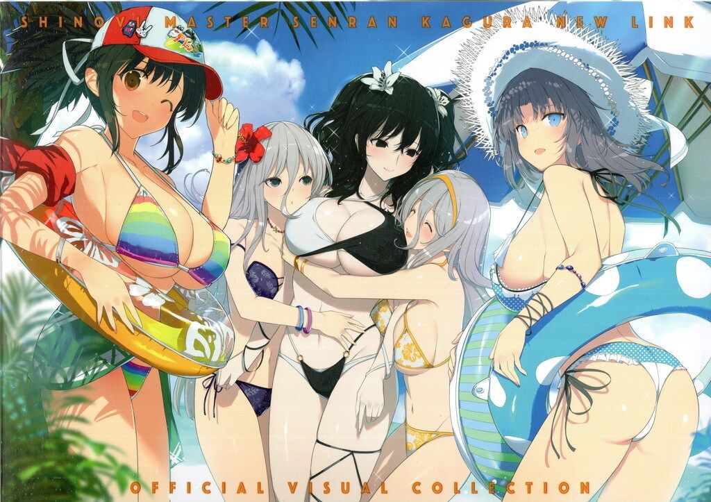 シノビマスター 閃乱カグラ NEW LINK OFFICIAL VISUAL COLLECTION