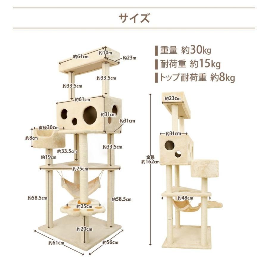 シニア