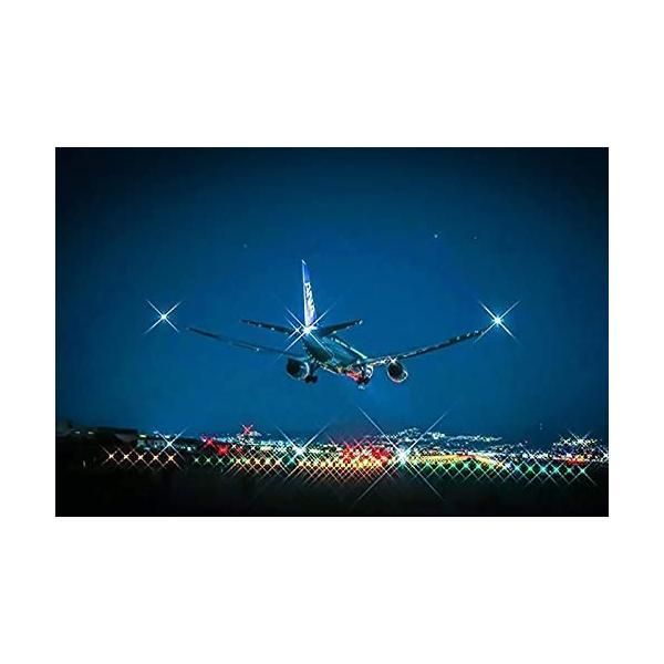 ショートタイプ|クロスフィルター Star