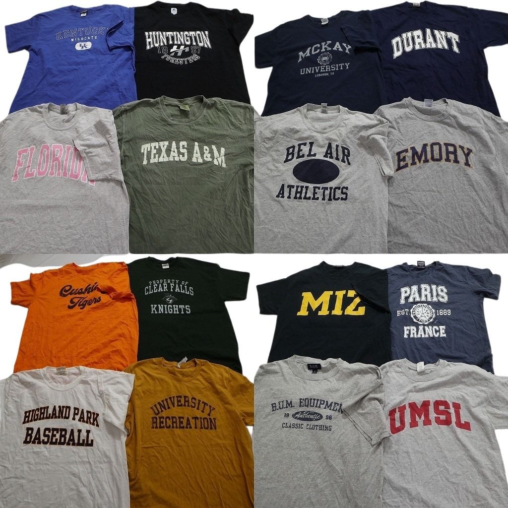 古着卸 まとめ売り カレッジ風 半袖Tシャツ 16枚セット (メンズ L ) 英字ロゴ　グレー　イエロー　ブラック　 MS9666