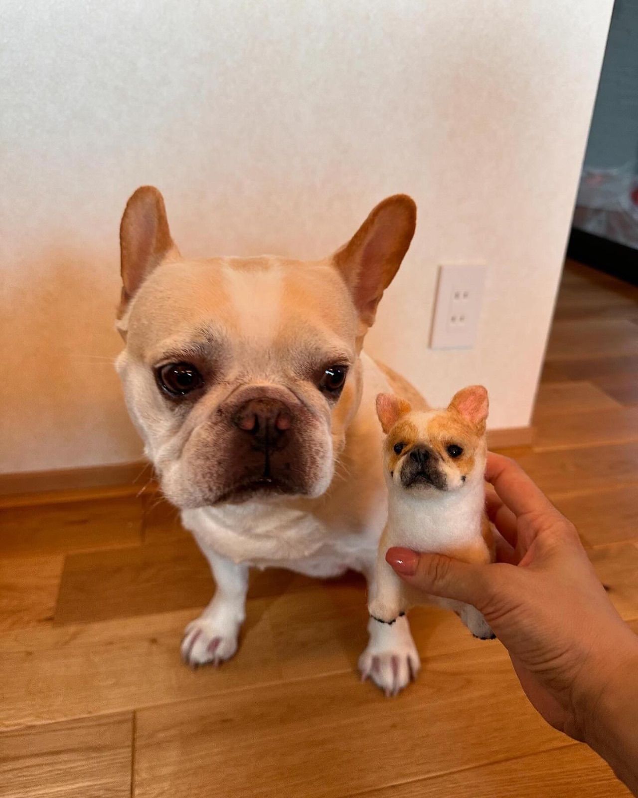 オーダー可》うちの子オーダー 手のひらペット 羊毛フェルト