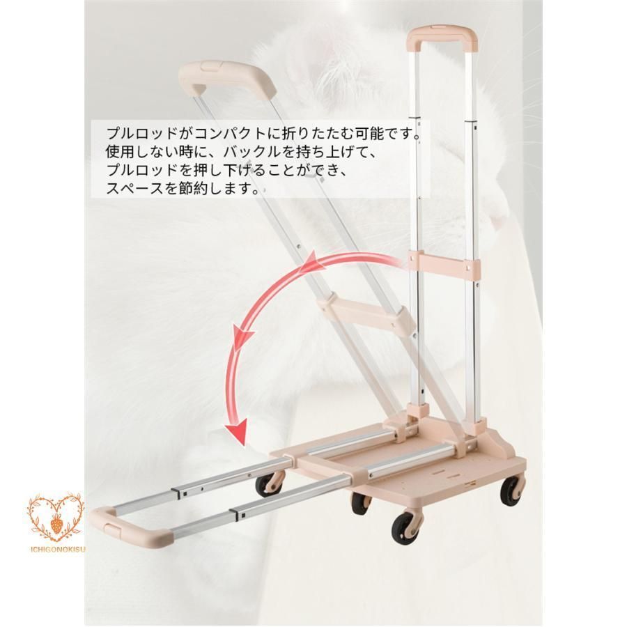 キャリー?コンテナ 猫