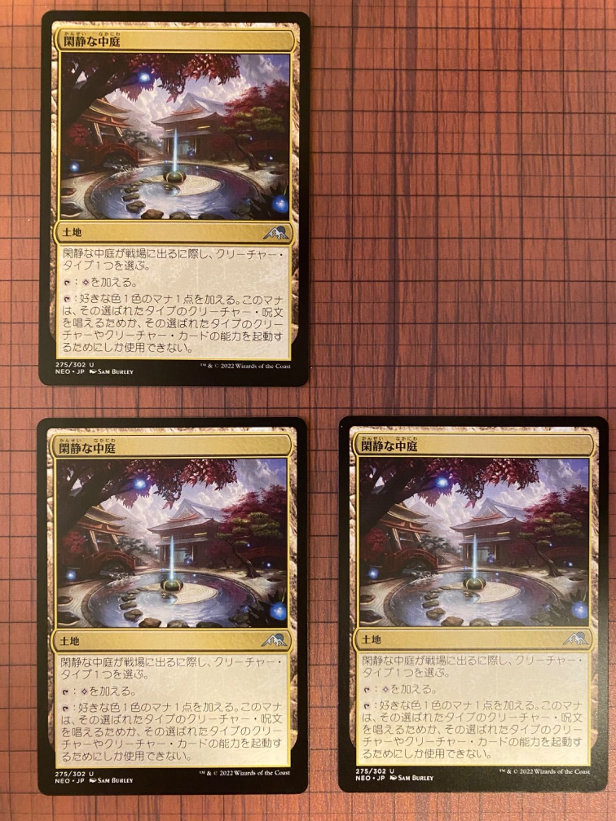 MTG フェッチランド 拡張アート FOIL 5枚セット - マジック：ザ 