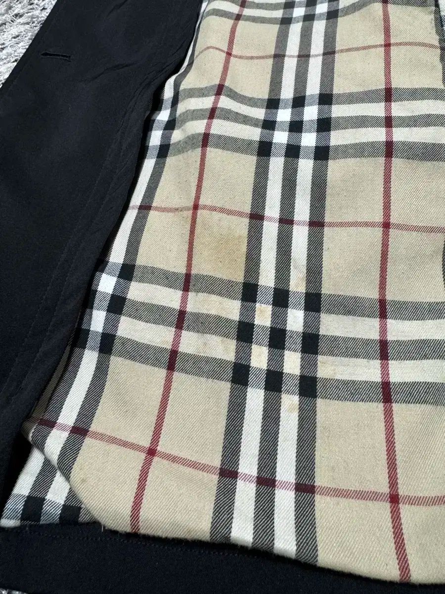 内皮細胞
