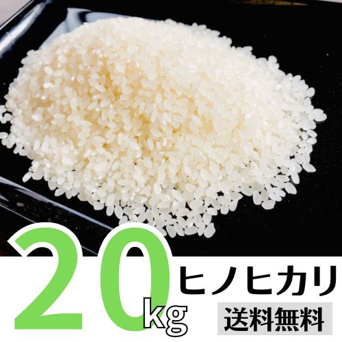 美味しい ヒノヒカリ 20kg