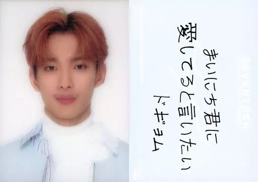 seventeen ドギョム レンチキュラー 2021 新品未開封】SEVENTEEN DICON