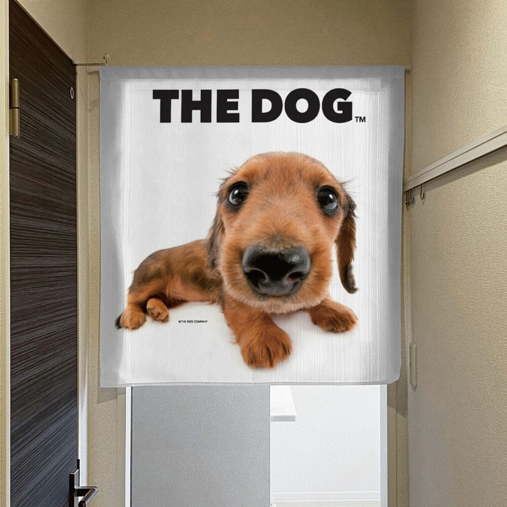 のれん 暖簾 THE DOG いぬ 犬 ダックスフンド 85×90 日本製