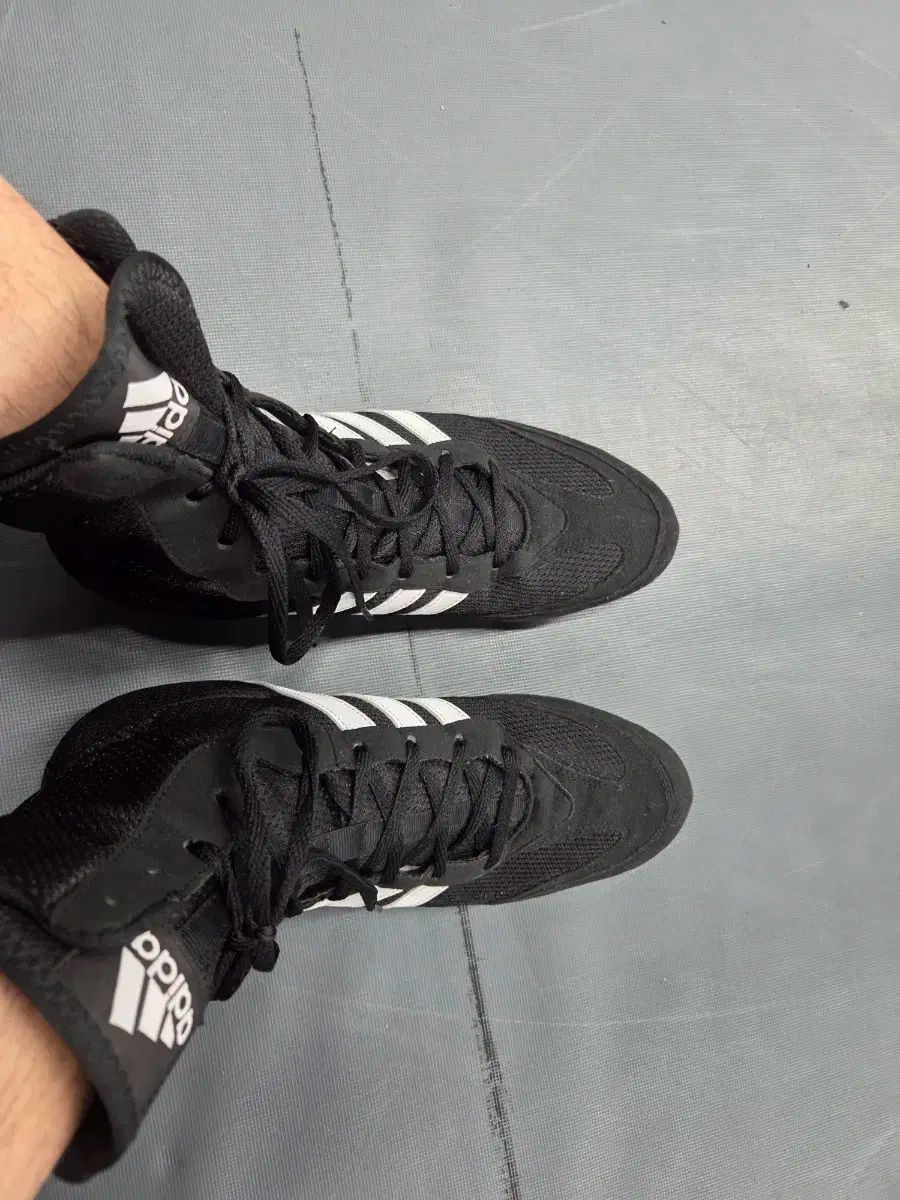 ボクシング ポスター 粟生隆寛vsガマリエル・ディアス 岩佐亮佑 三浦