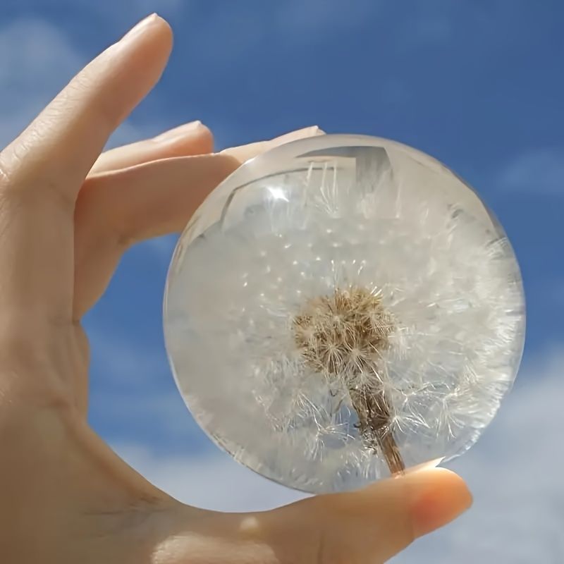 花 綿毛 幸せ 希望 たんぽぽ 癒し 願い タンポポ クリスタルボール 水晶 クリスタル ガラス 幸運 自然 植物 標本 60mm インテリア  オブジェ 本物のタンポポ - メルカリ