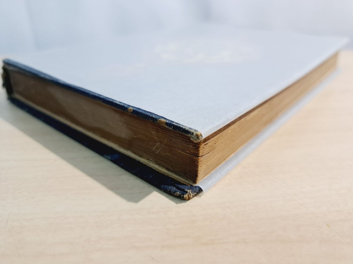 余の漫画帖から 伊東忠太 実業之日本社 大正11年