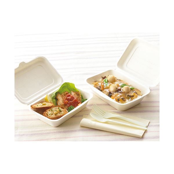 バガスモールドパック MP