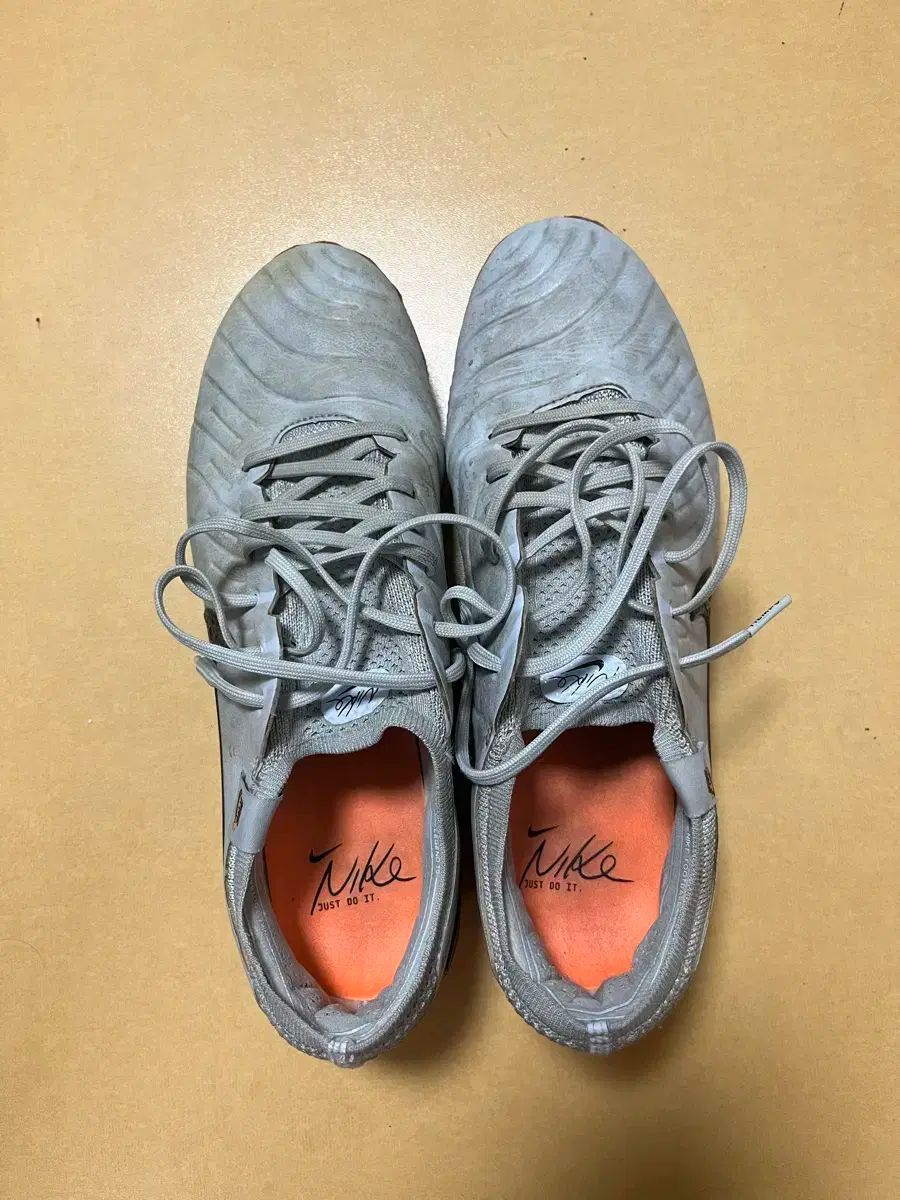 ナイキ ティエンポ レジェンド 10 FG エレクトリック 270