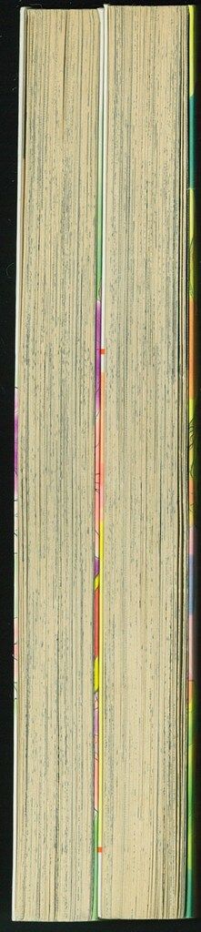 講談社 ビーラブKC 風間宏子 パラダイス・ファミリー 全2巻 セット  