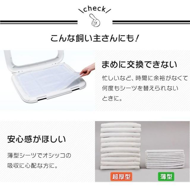 レギュラー 100枚