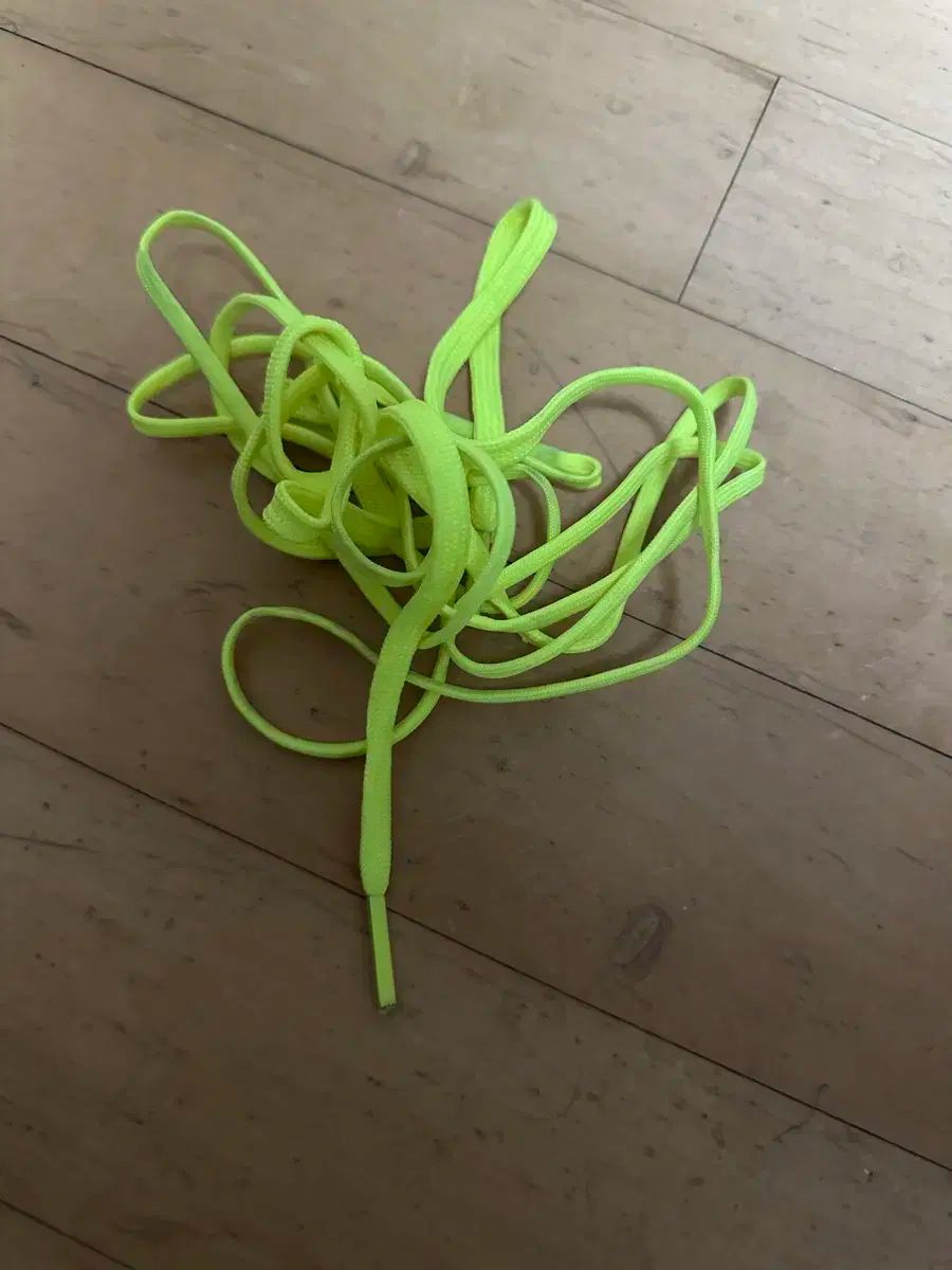 別注‼︎美品⭐️ルースイソンブラ×デスポルチ【室内用27㎝】箱付き