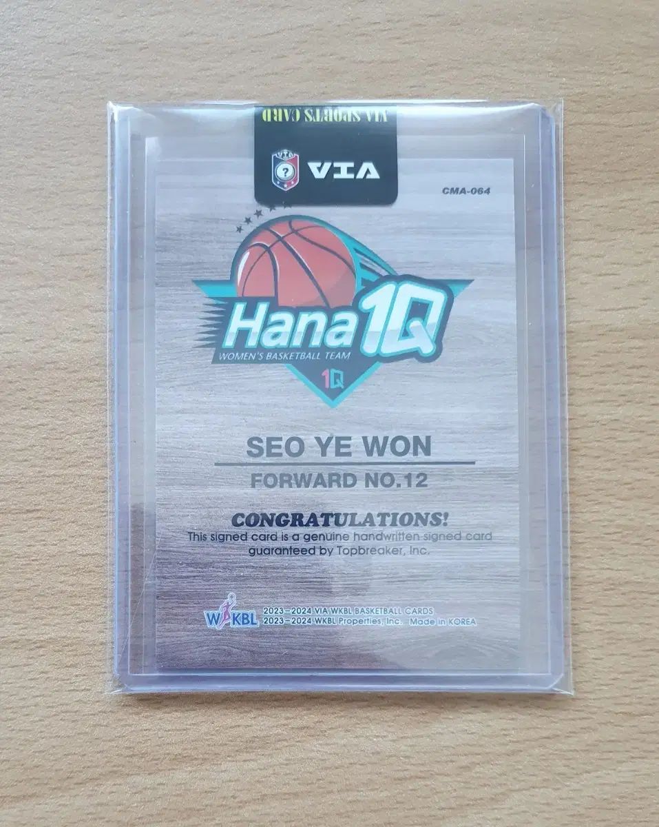 ブルーウォーターハウス ブリッツェン BWH-510SHSX 落とし込み ロッド