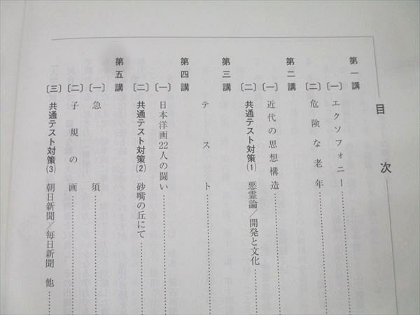 河合塾 東京大学 東大/トップレベル現代文/古文/漢文論述等 国語