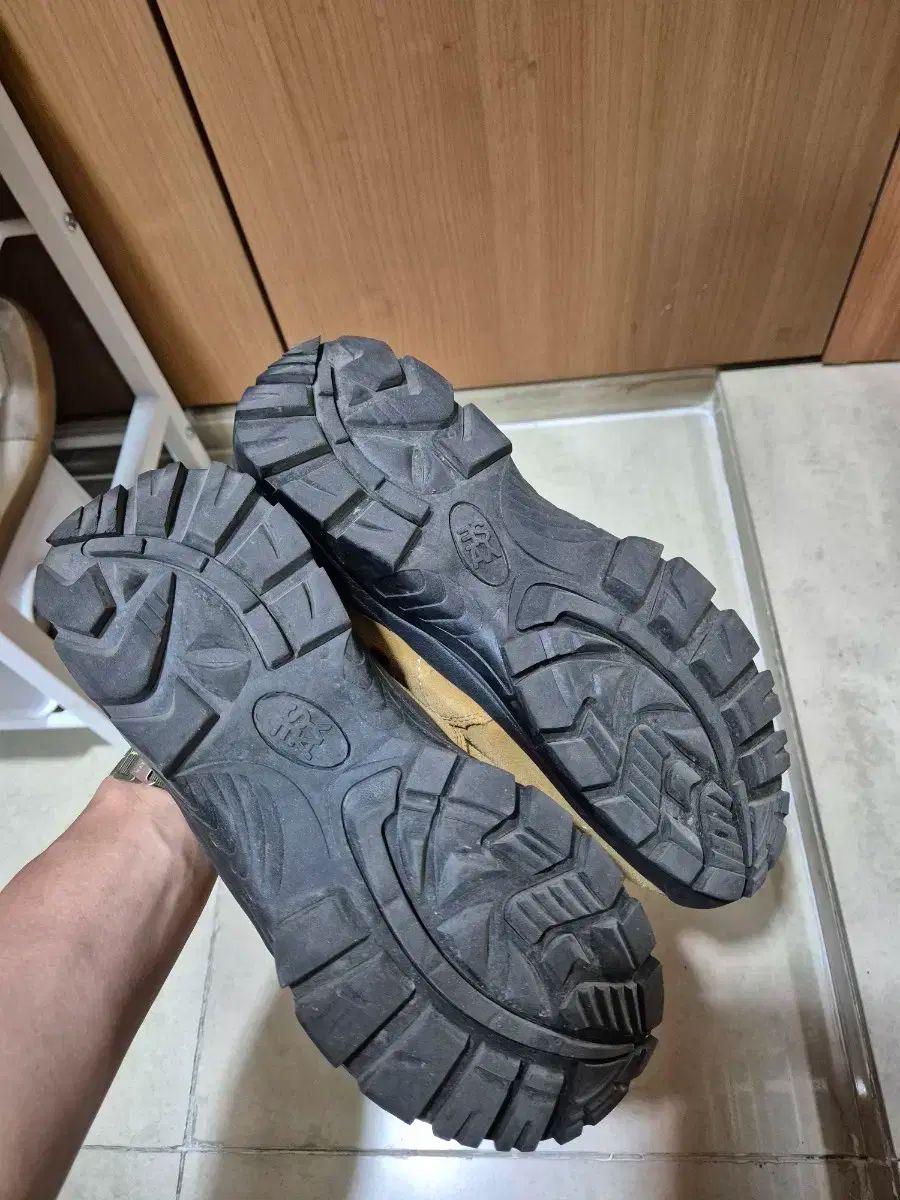 フォレスト