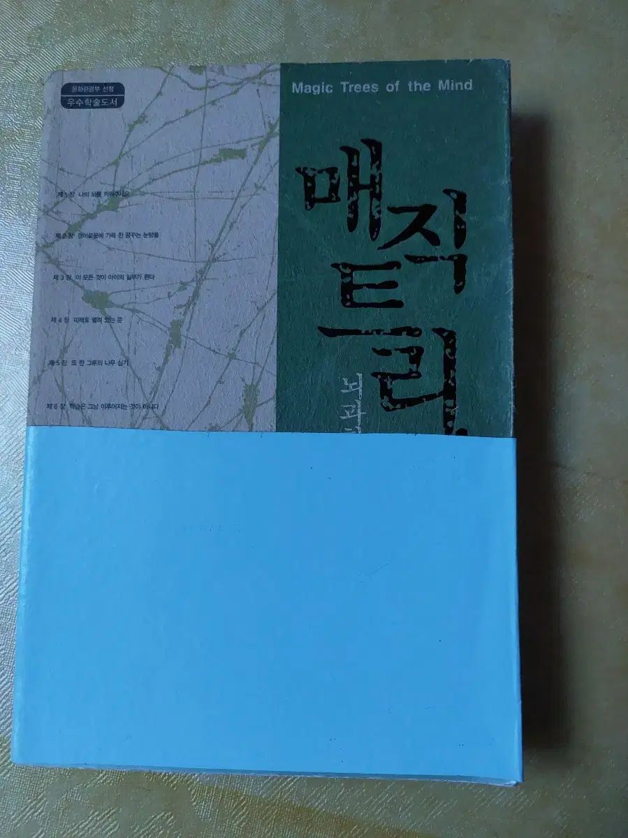 【雷市場（ポンジャン）商品韓国直送】 本/ 魔法 木